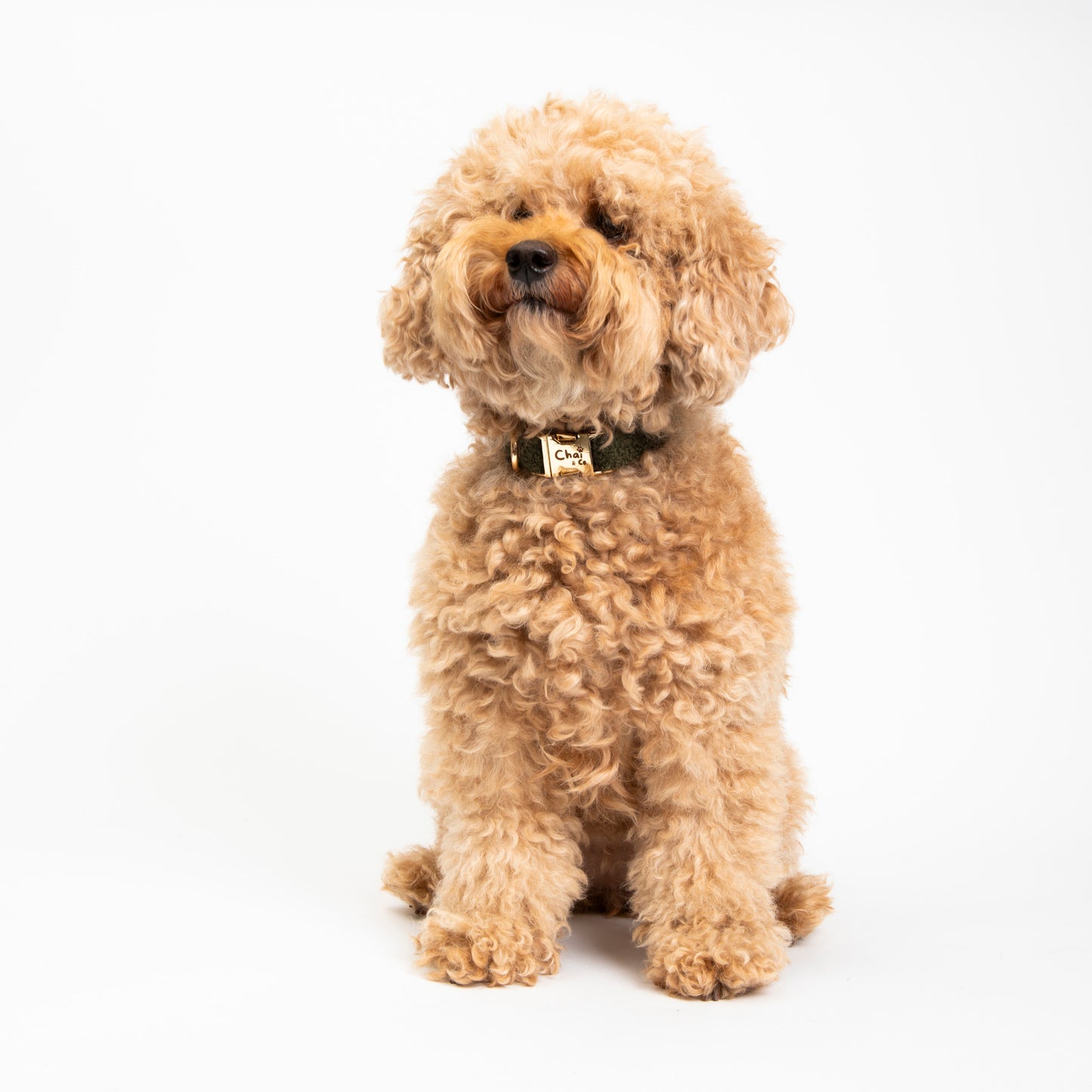 Olive Sherpa - Dog Collar