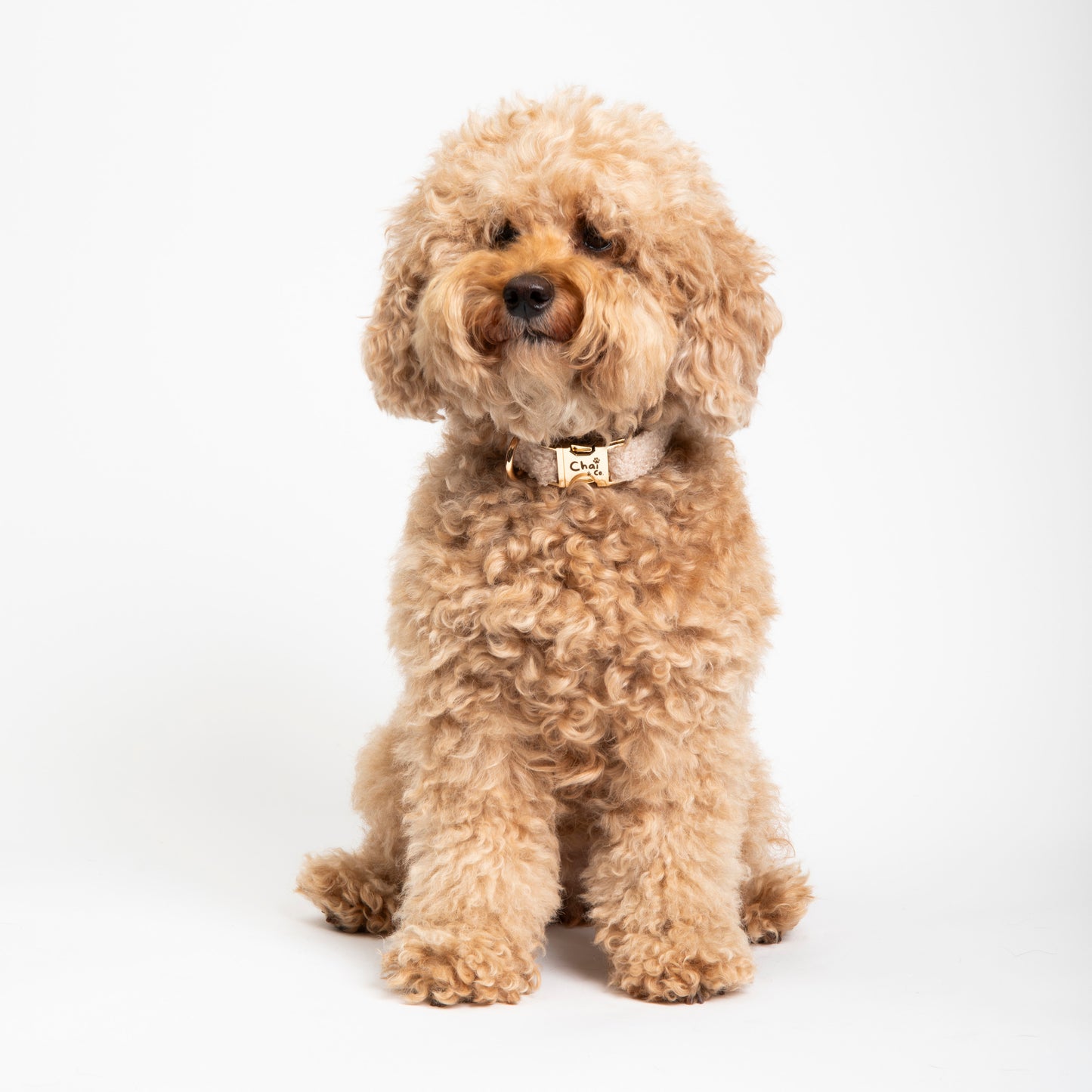 Cream Sherpa - Dog Collar