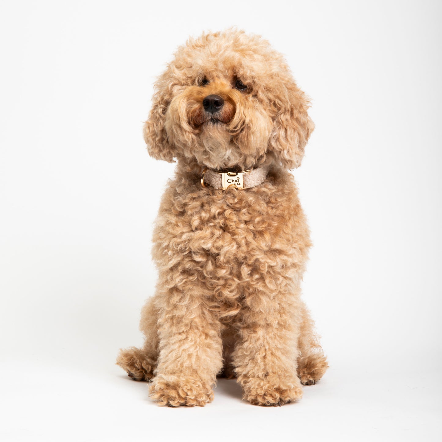 Cream Sherpa - Dog Collar