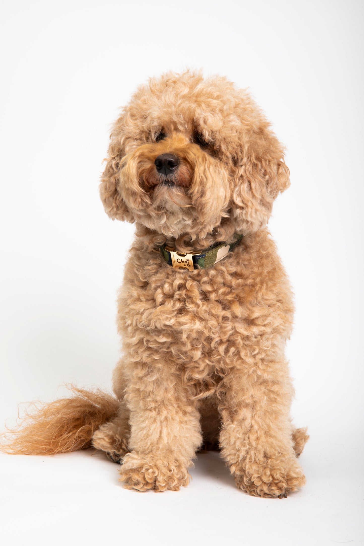 Camo - Dog Collar