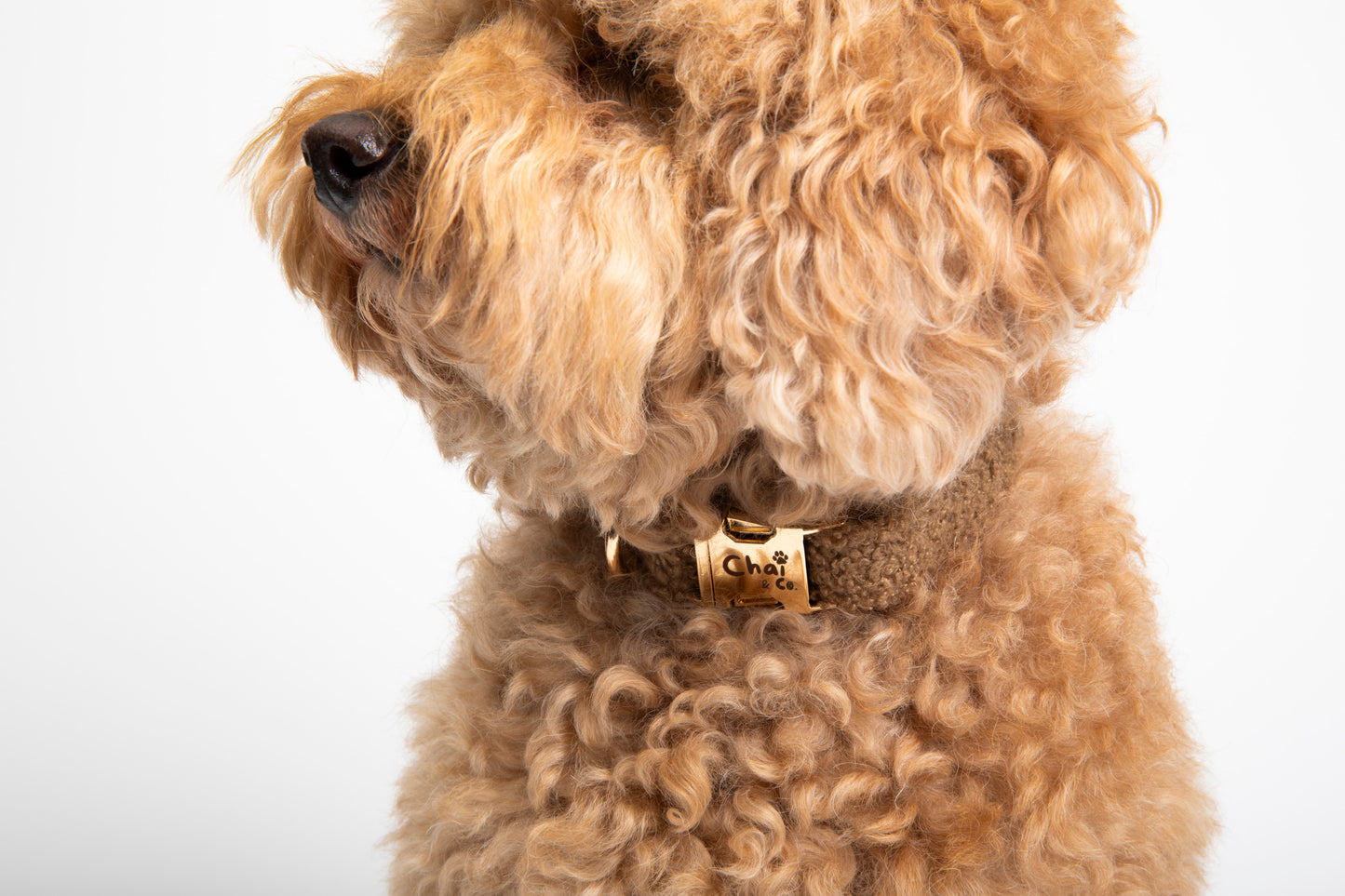 Brown Sherpa - Dog Collar