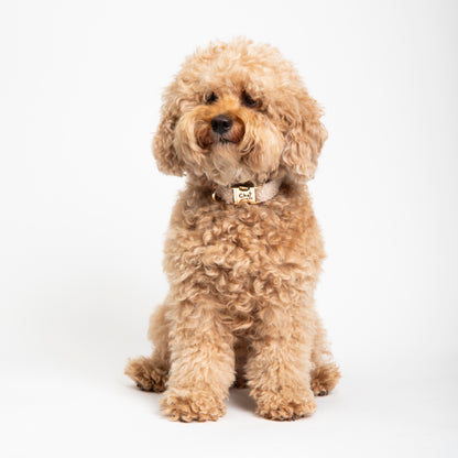 Cream Sherpa - Dog Collar